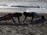 IMG_0644.jpg