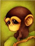 Chimpance.jpg image by ladydoodlebug